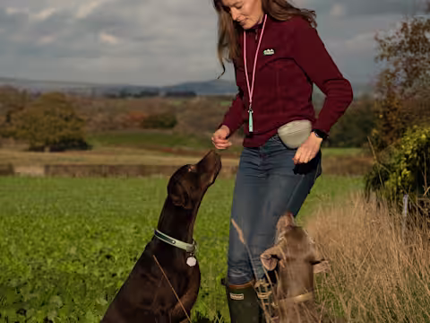 Ashleigh, Brand Design Manager with their dogs Bailey & Angus
