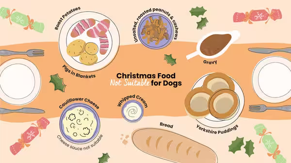 An infographic that shows an illustrated Christmas Dinner table showing what festive foods are unsuitable for dogs. It includes roast potatoes, unsalted roasted peanuts and cashews, gravy, Yorkshire puddings, pigs in blankets, cauliflower cheese, bread and whipped cream