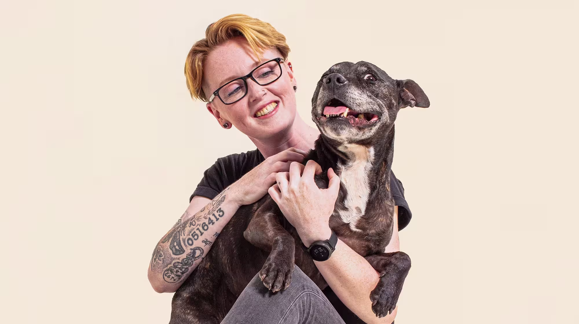 What to do if your dog is stolen-Image 1