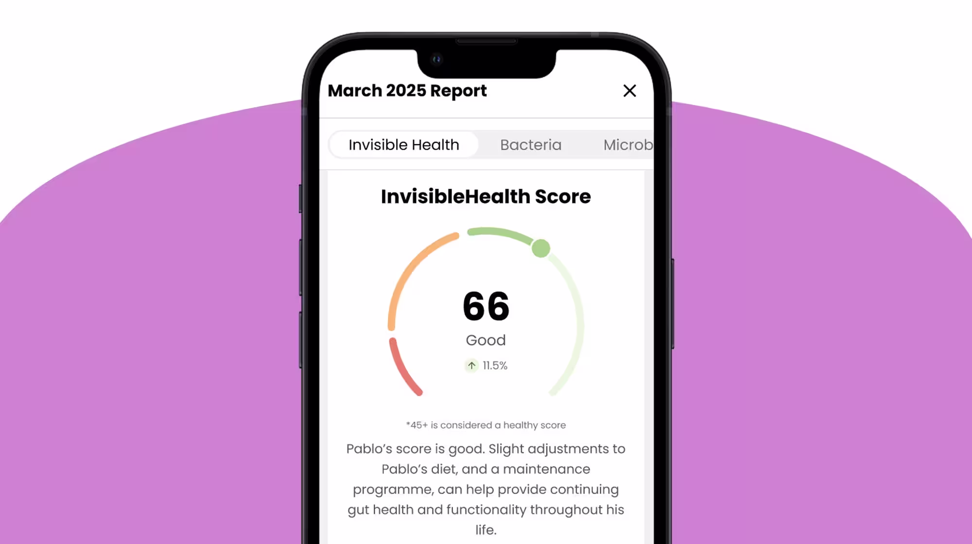 What does a dog gut health test tell you about your dog?-Image 4