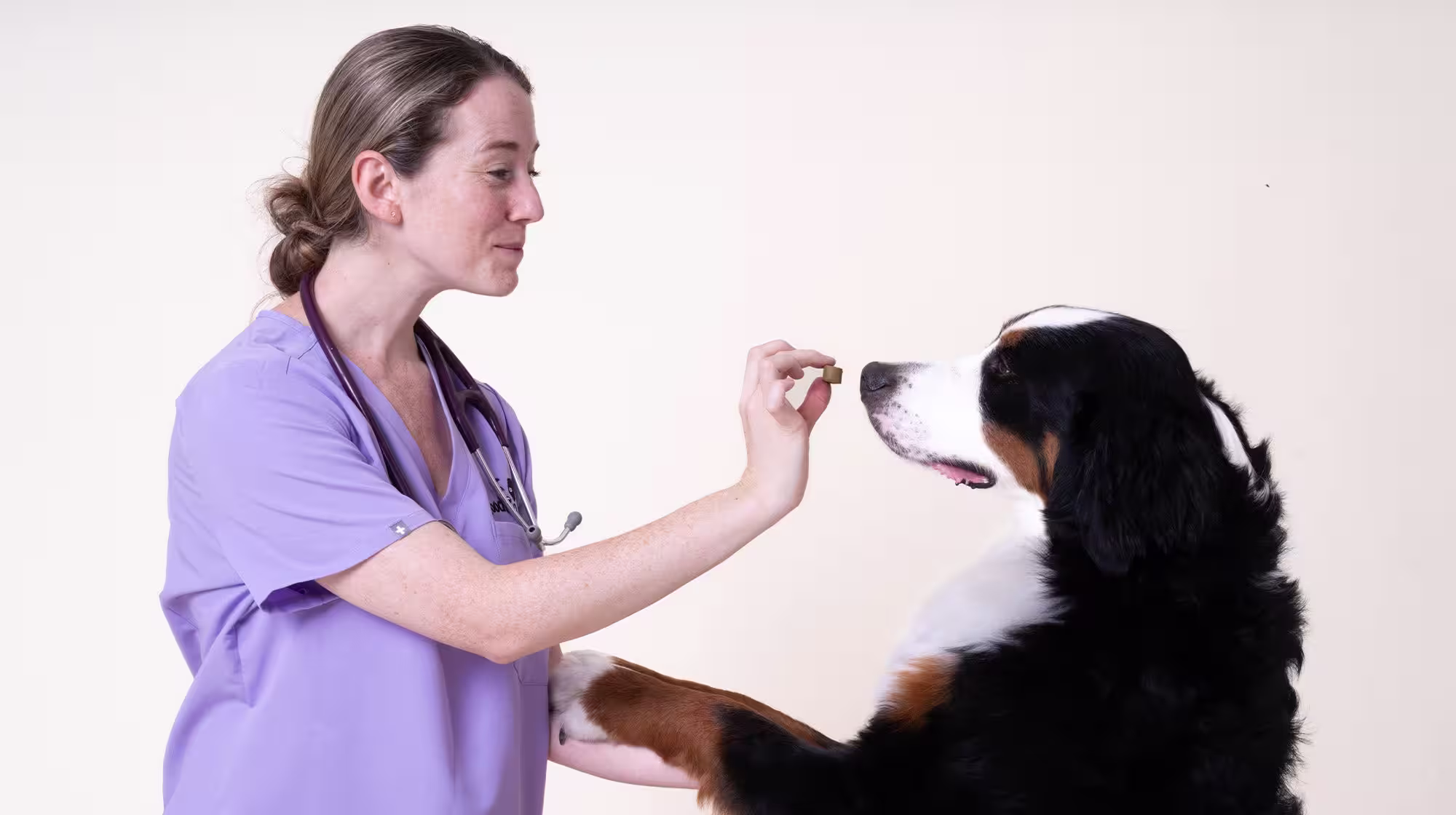 Your Pooch & Mutt Gut Health Supplement Feeding Guide-Image 4