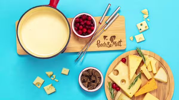 Should you feed your dog human food?-Image 1