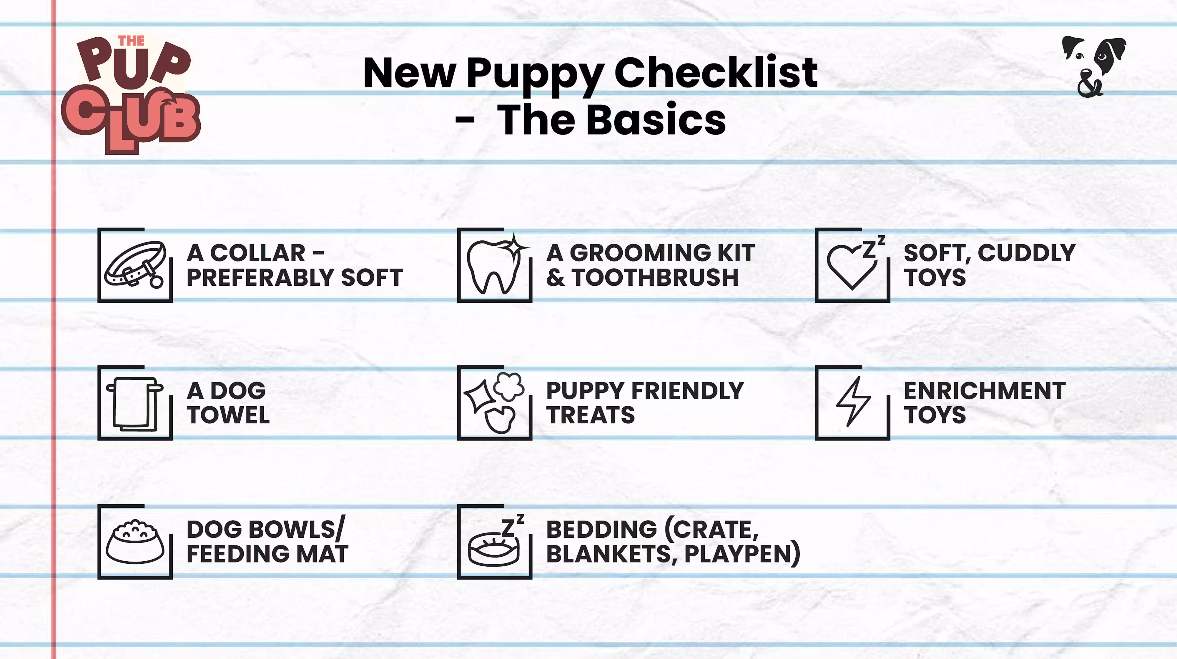 New Puppy Checklist: Essential advice from a vet-Image 2