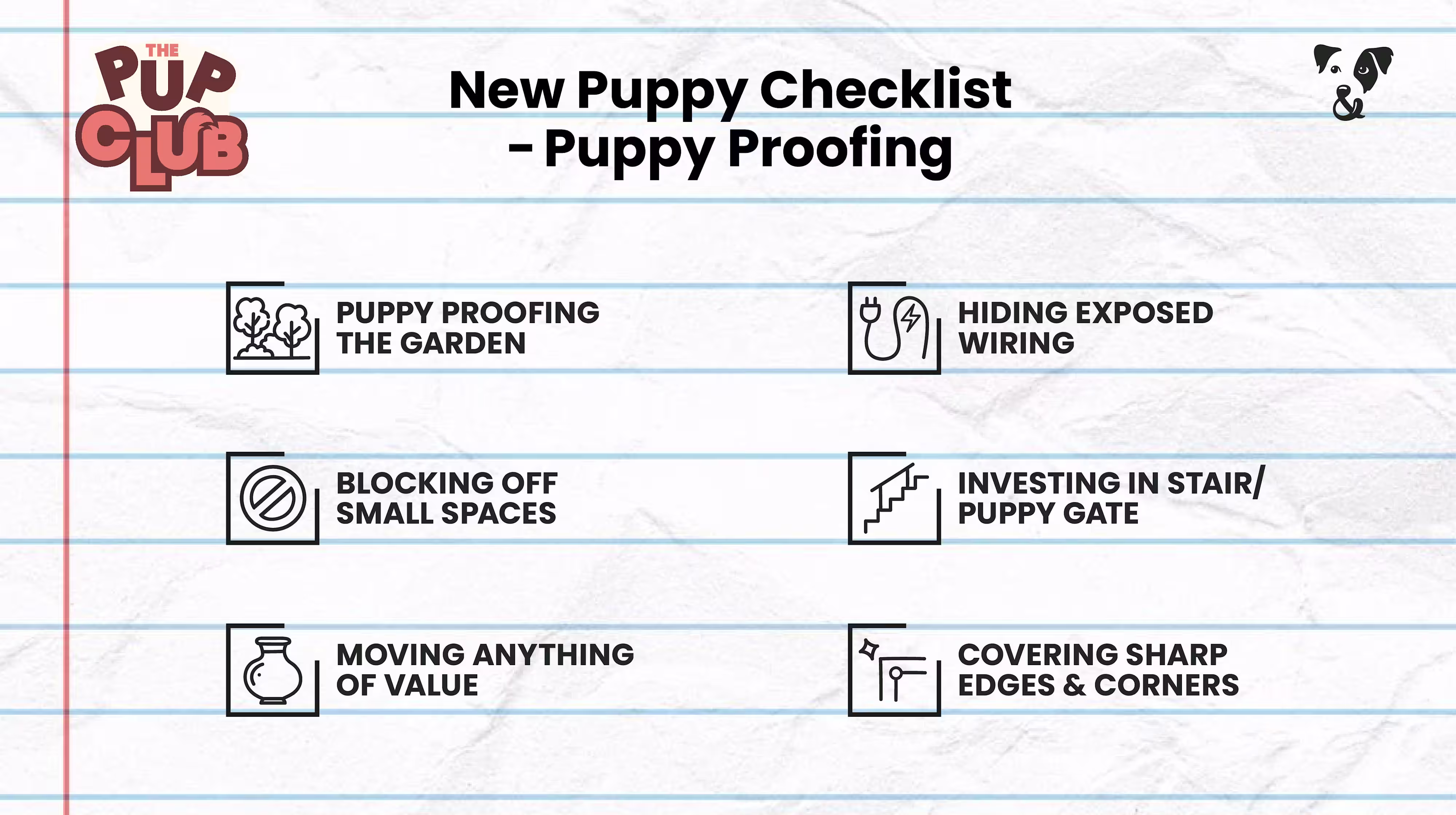 New Puppy Checklist: Essential advice from a vet-Image 1