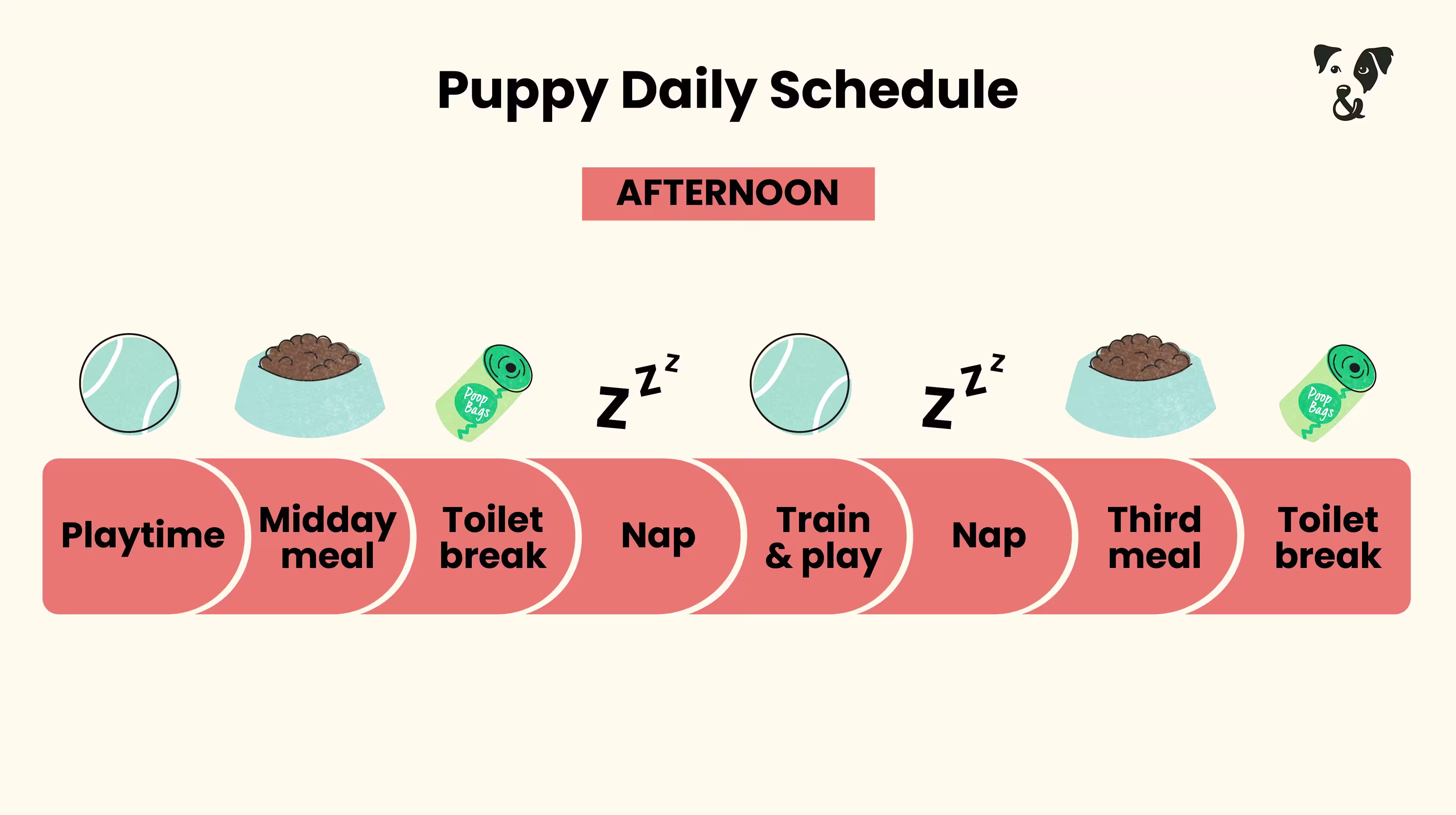 The Puppy Feeding Guide-Image 5