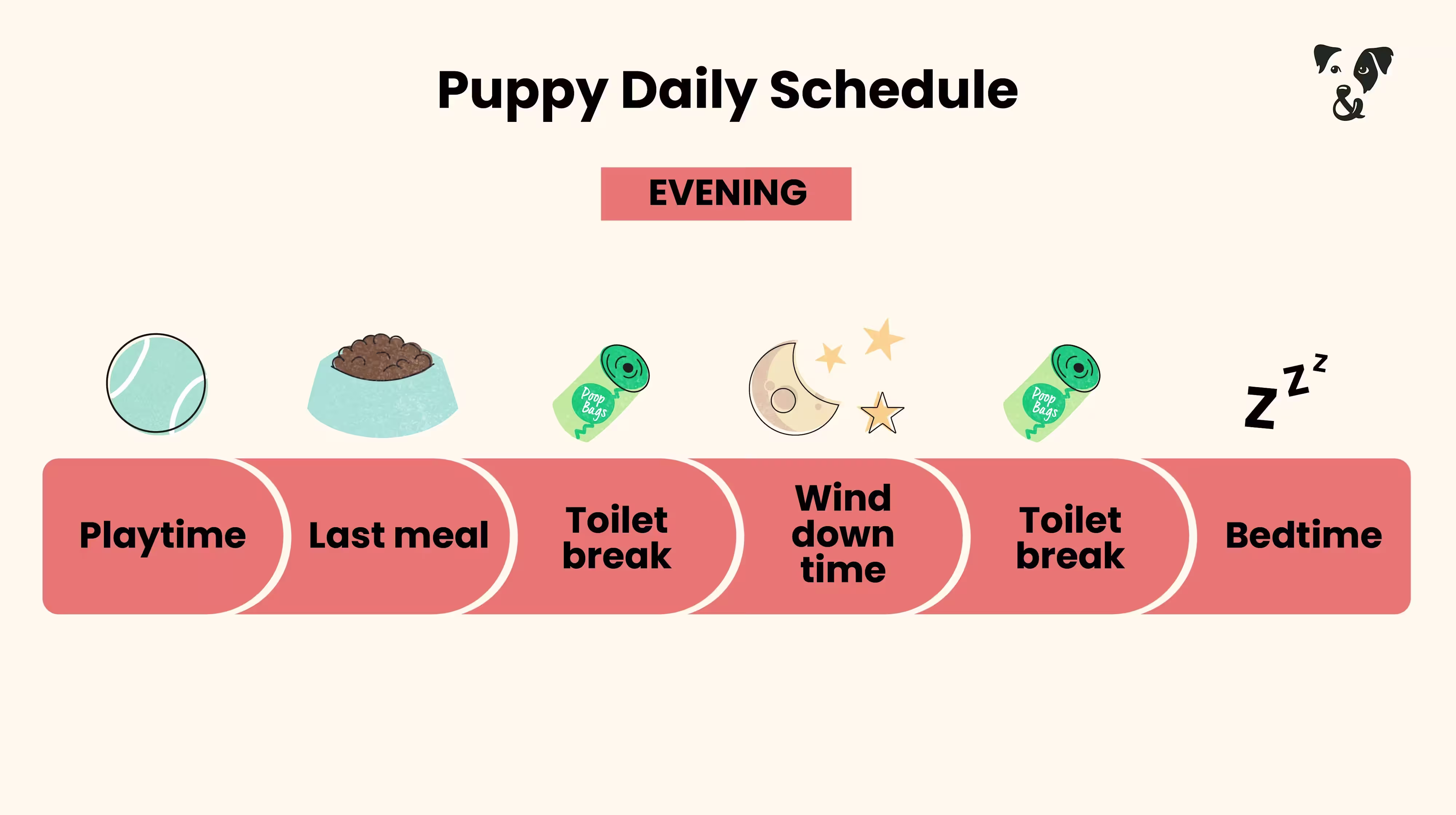 The Puppy Feeding Guide-Image 6