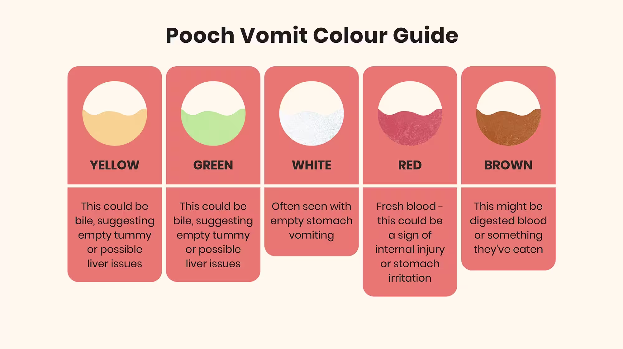 Puppy being sick: Common causes and how to help-Image 1