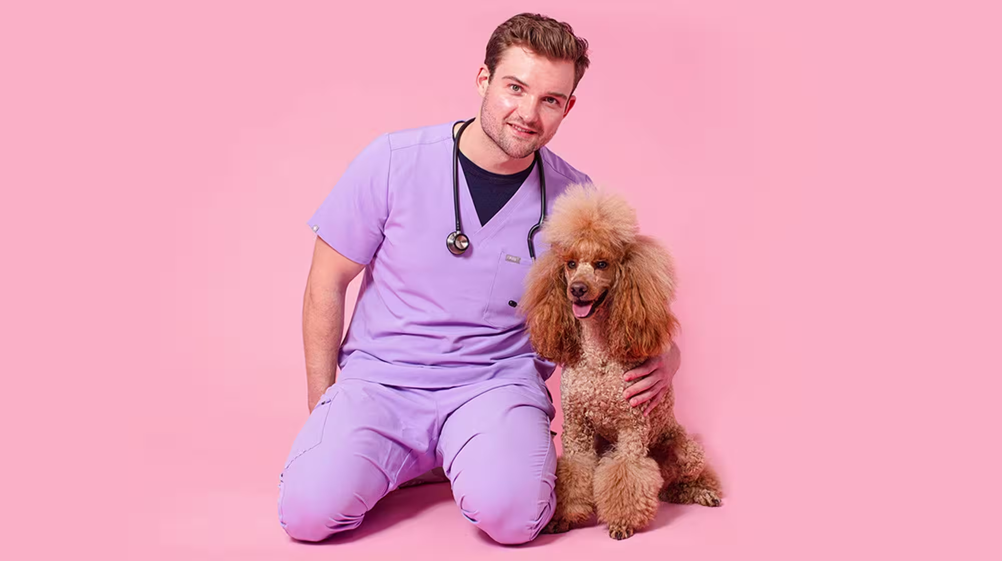 Vet Explains: Why and how should we be exploring our dog's gut health?-Image 1