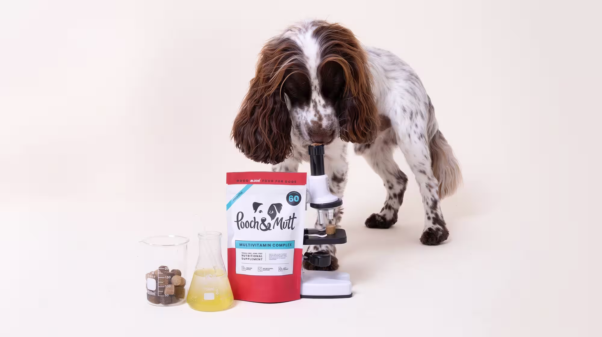 Your dog’s gut health: What is a microbiome?-Image 6