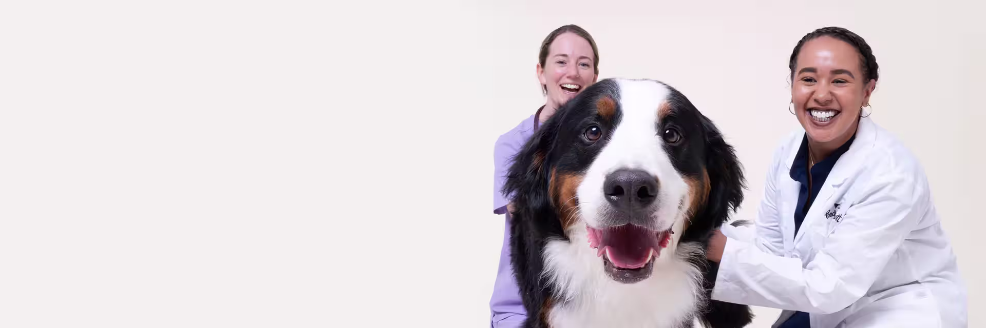 Vet and Scientist With Dog