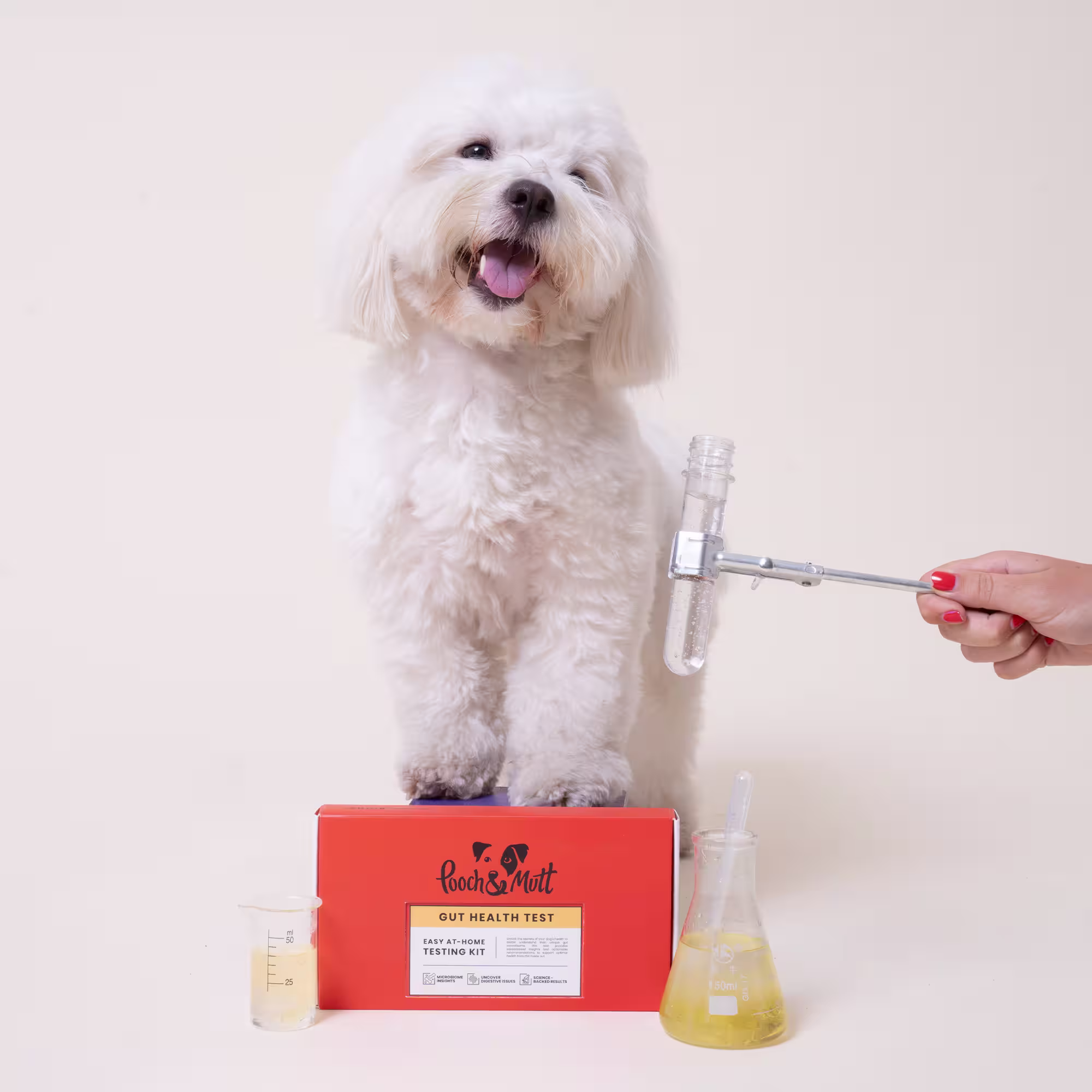 Gut Health Test Kit With Dog