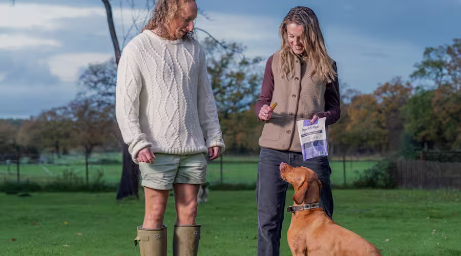 Two dog owners stand outside with their auburn Pointer staring up at them.