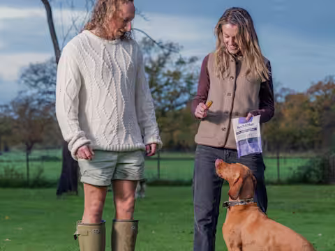 Two dog owners stand outside with their auburn Pointer staring up at them.