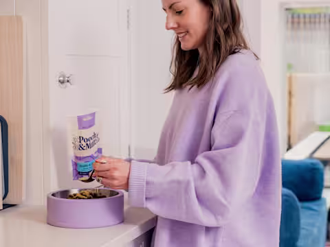 A dog owner preparing some Pooch & Mutt food in a dog bowl whilst their dog lies down in the background.