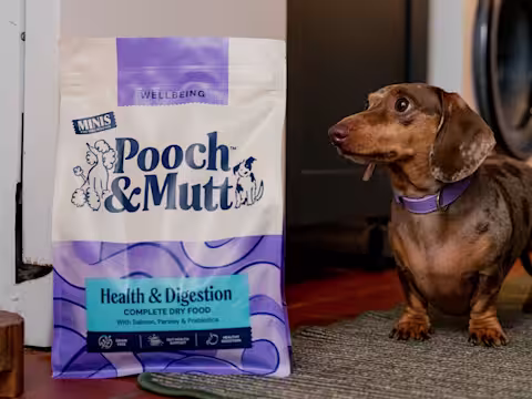 A Dachshund looking at a bag of Pooch & Mutt's Health & Digestion Dry Food.