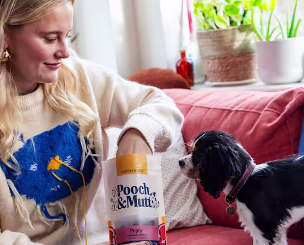 puppy training page hero