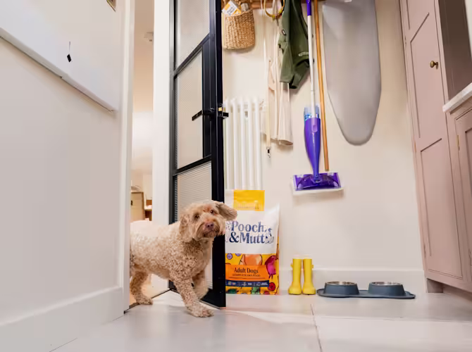 Pooch & Mutt Delivery & Returns