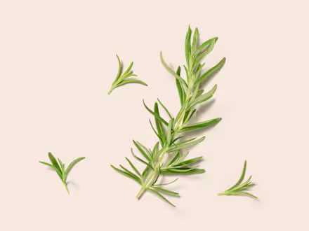 Rosemary