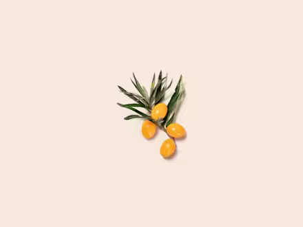 Dried Sea Buckthorn