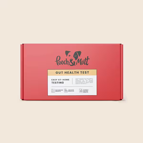 P&M WEBISTE PDP IMAGE GUT HEALTH TEST KIT