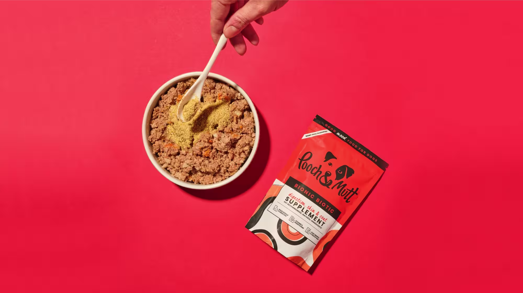 What do probiotics do for dogs?-Image 1