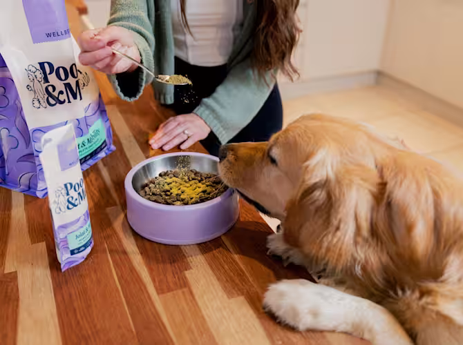 Make ordering extraordinary