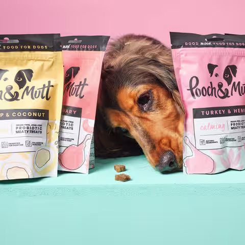 Probiotic meaty treats taster pack for dogs