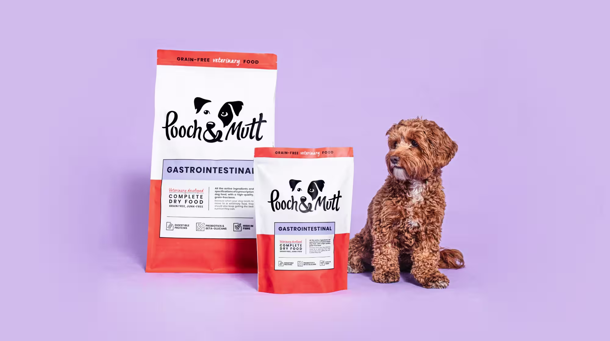 Everything you need to know  about hydrolysed dog food-Image 3