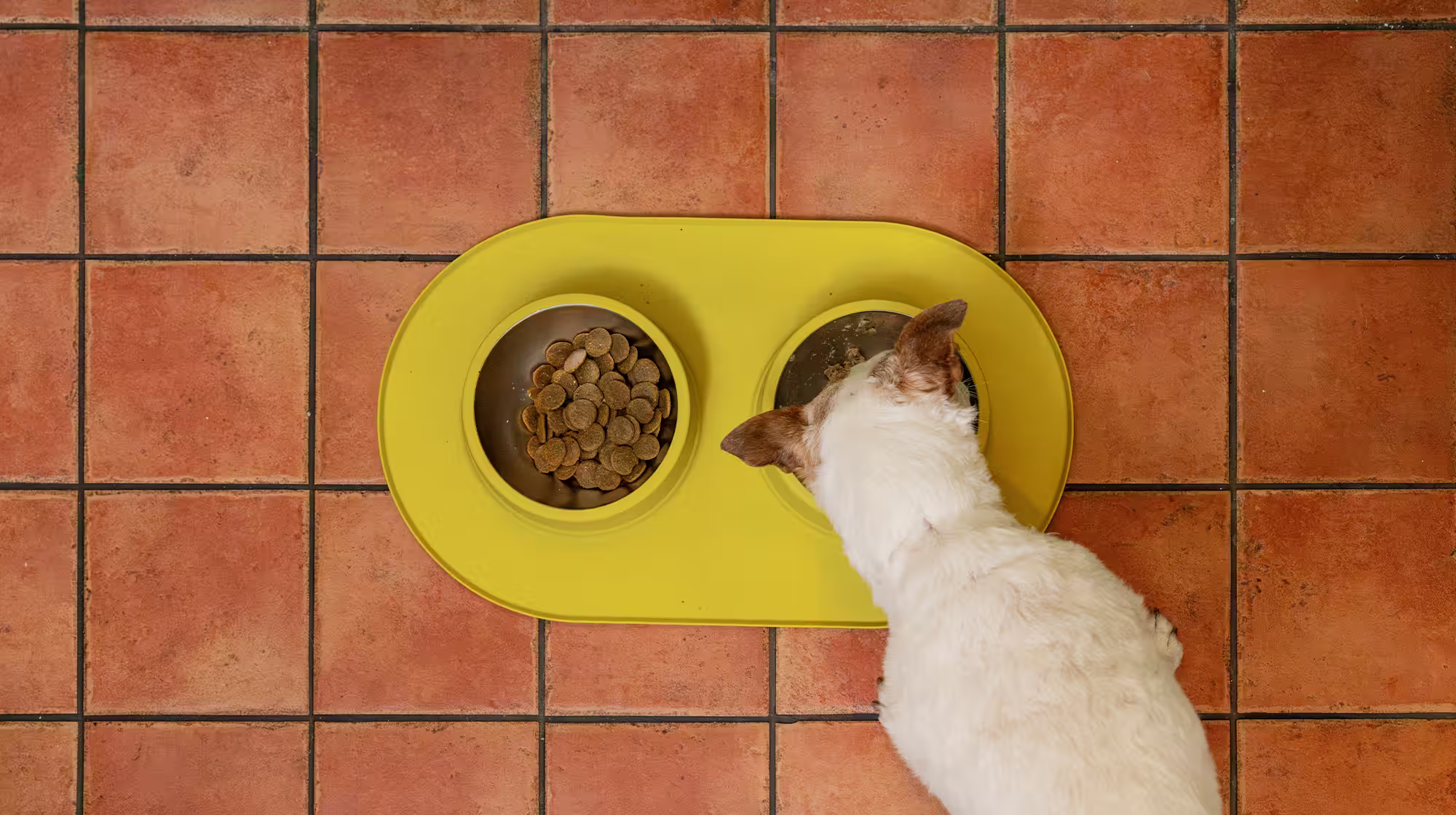 A picture shot from above of a white dog eating dry kibble out of a yellow bowl, with another yellow bowl next to it, on a yellow mat placed on a tiled floor.