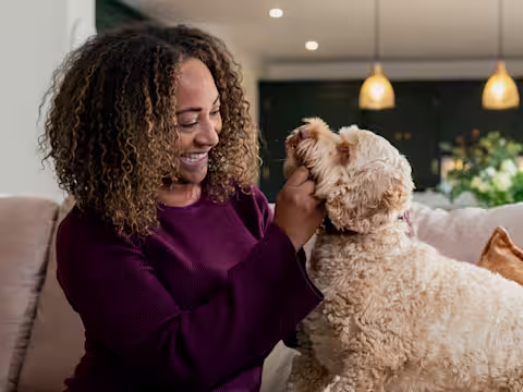 A dog owner in a purple jumper sits on a sofa, fussing their brown, fluffy dog.