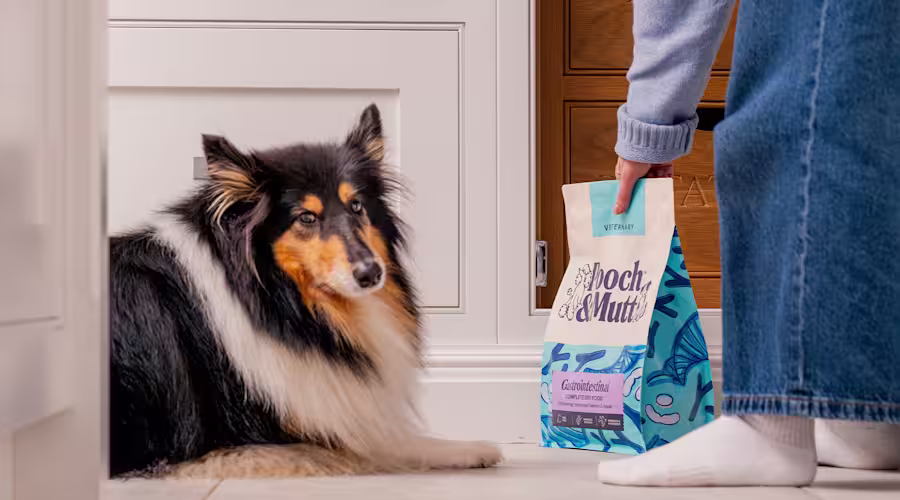 A fluffy dog lies on the floor as their own shows them a bag of Pooch & Mutt's Gastrointestinal Veterinary Dry Food.