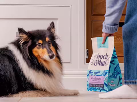 A fluffy dog lies on the floor as their own shows them a bag of Pooch & Mutt's Gastrointestinal Veterinary Dry Food.